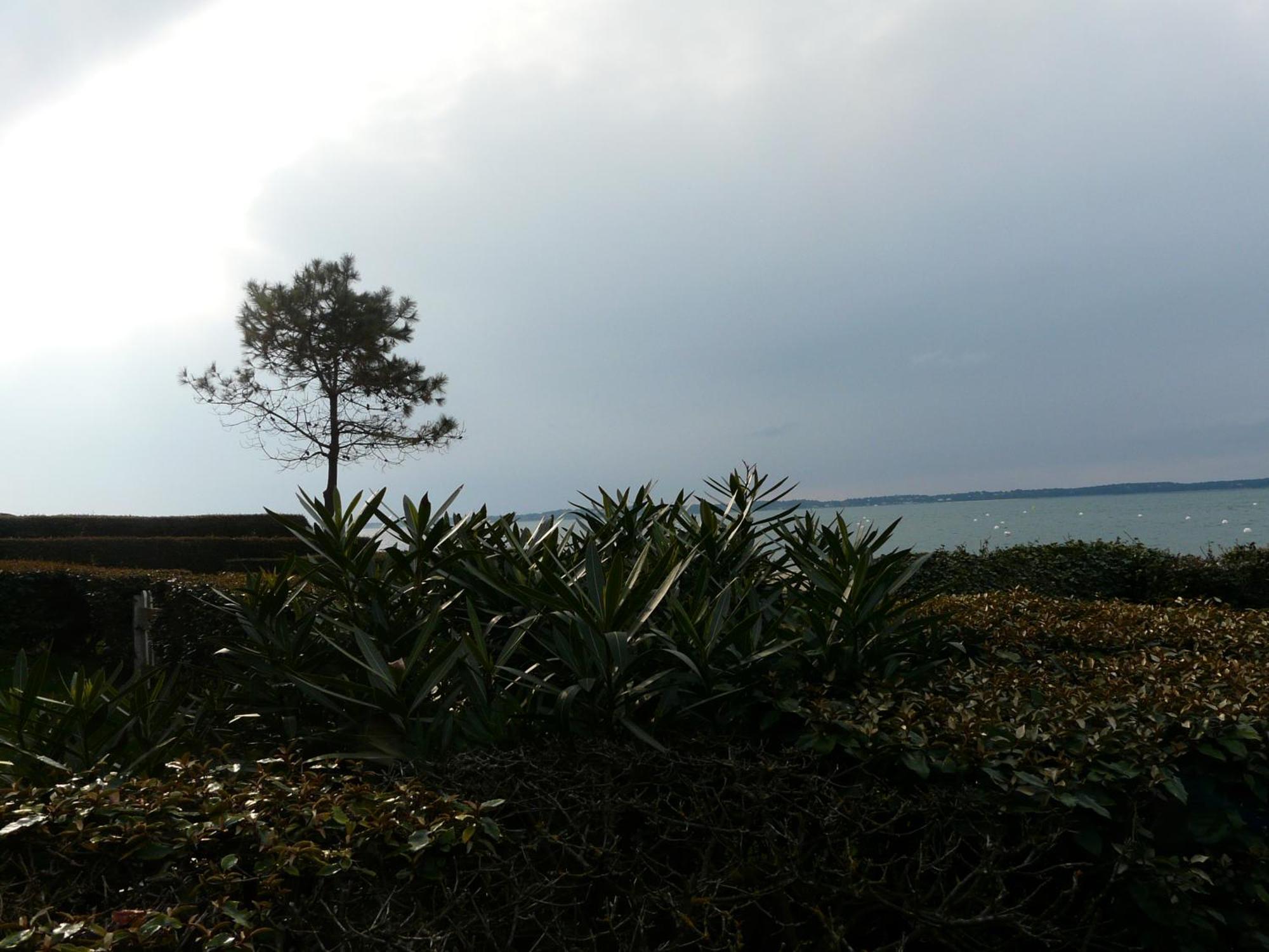 Arcachon Pereire Bord De Plage Екстер'єр фото
